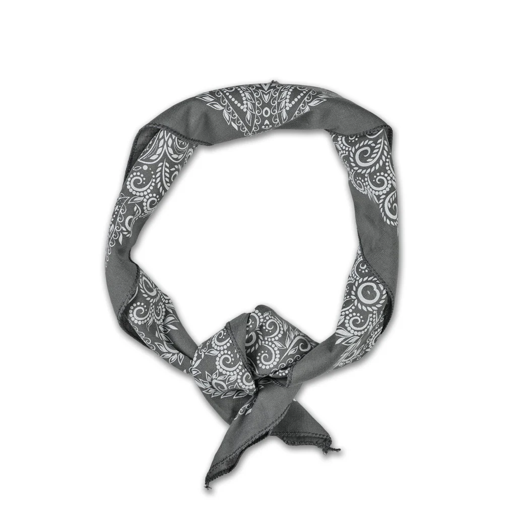 Paisley Mythosaur Bandana - Image 2